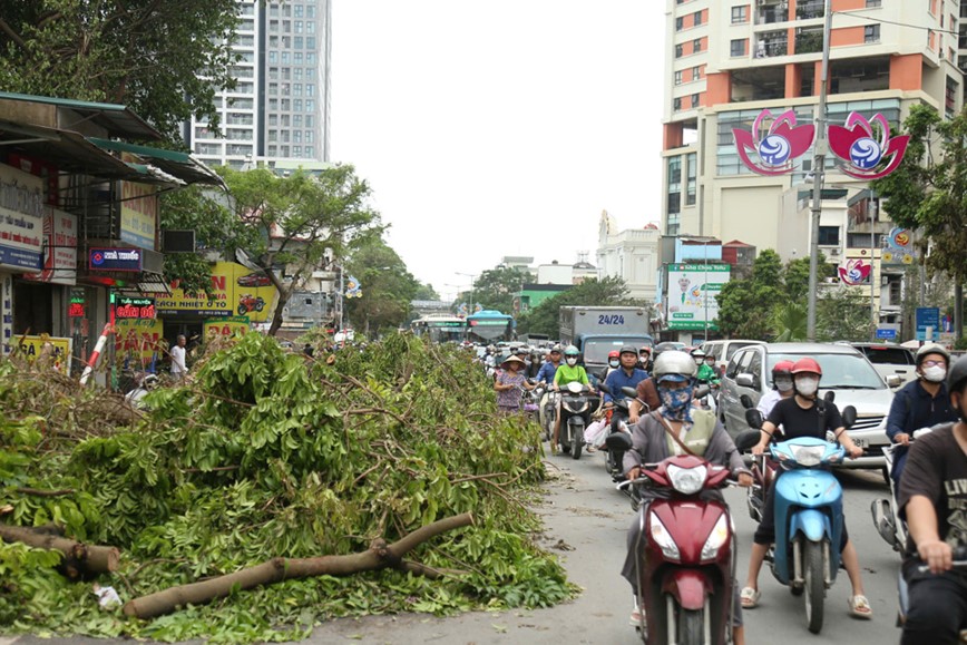 Cay xanh nga do khien duong pho Ha Noi un tac nghiem trong - Hinh anh 5