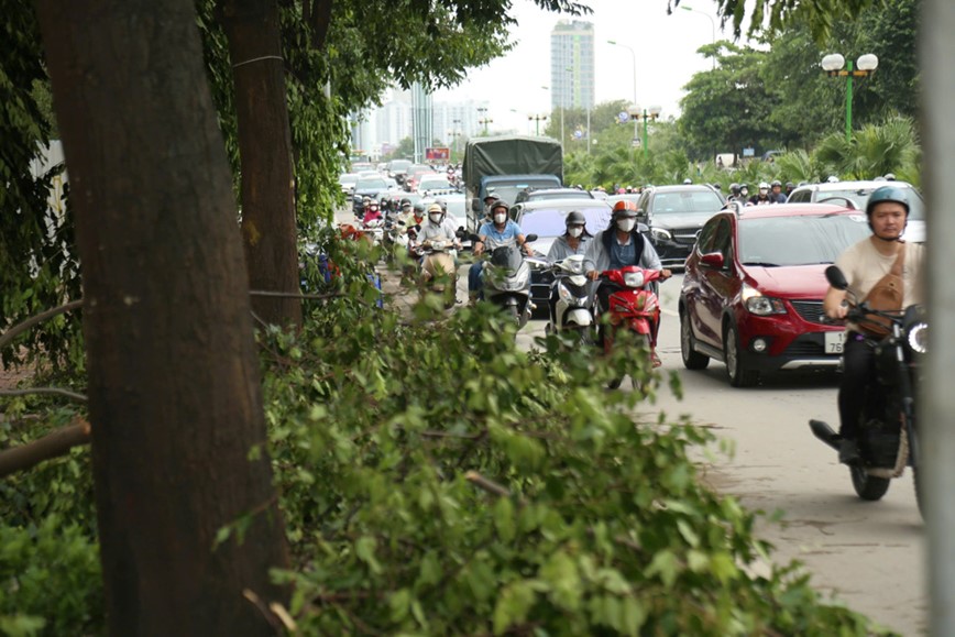 Cay xanh nga do khien duong pho Ha Noi un tac nghiem trong - Hinh anh 4