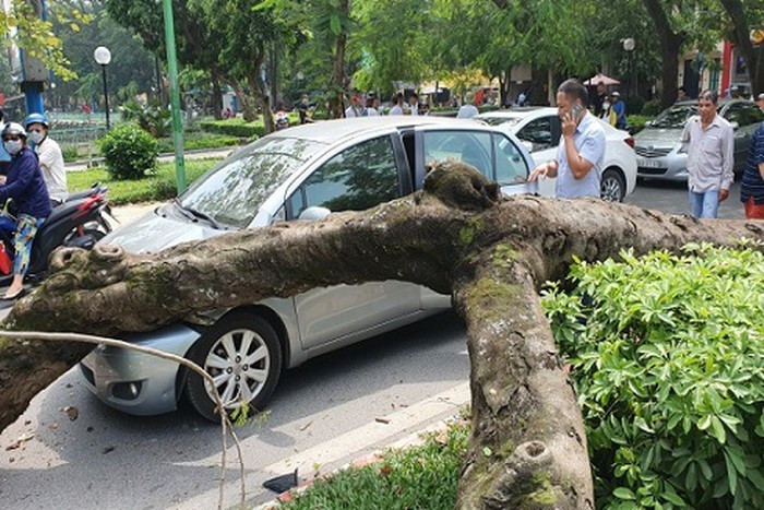 Doi pho voi nhung su co giao thong 