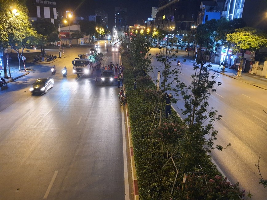 Ha Noi: Danh chuyen hon 200 cay phong la do ve vuon uom - Hinh anh 5