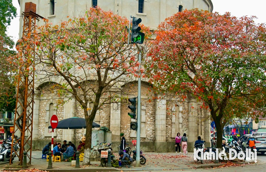 Duong pho Thu do diu dang mua loc vung thay la - Hinh anh 1