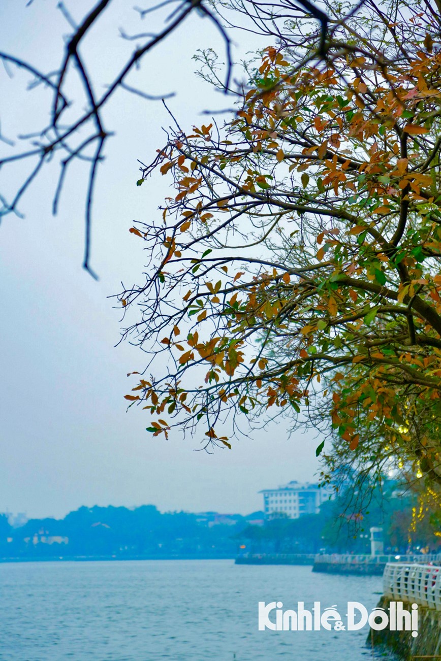 Duong pho Thu do diu dang mua loc vung thay la - Hinh anh 15