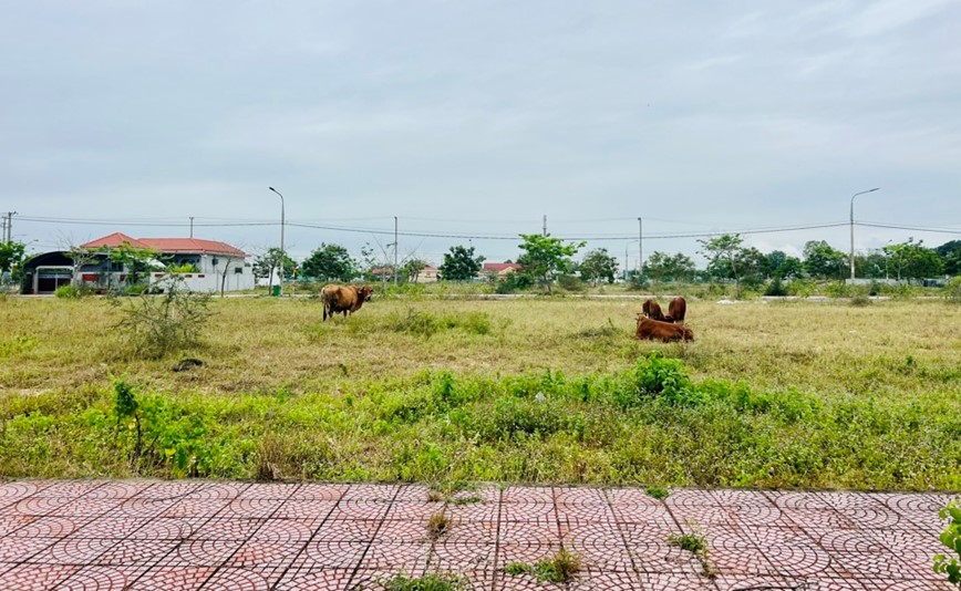 Vi sao du an Cau Hung - Lai Nghi dieu chinh quy hoach? - Hinh anh 1