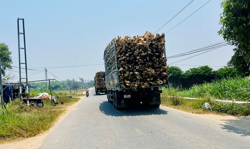 Du an cai tao quoc lo 14E cham tien do vi vuong giai phong mat bang - Hinh anh 3