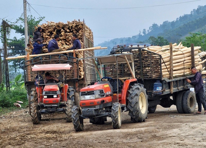 Quang Binh: muon neo vi pham trat tu an toan giao thong duong bo - Hinh anh 12