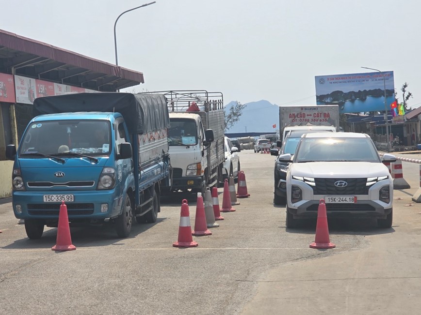 Cat Ba chua vao mua du lich, khach da doi ca tieng - Hinh anh 5
