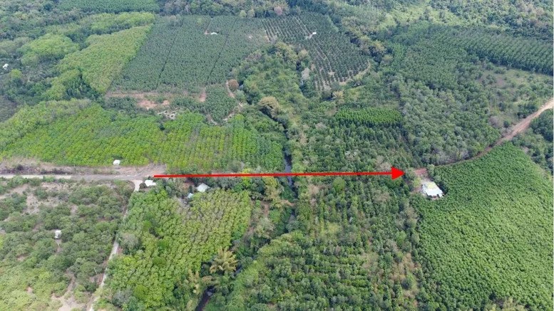 Nghien cuu, ra soat ky phuong an dau tu duong ket noi Binh Phuoc - Dong Nai qua cau Ma Da - Hinh anh 1