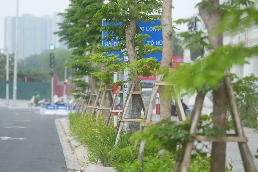 Ha Noi: No luc han che tai nan do bat cap tu bien bao, ha tang giao thong - Hinh anh 1