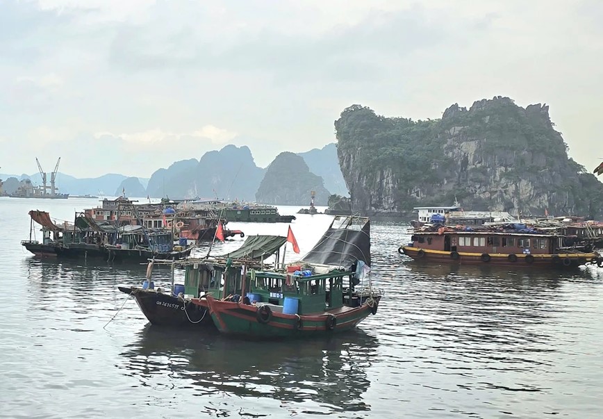 Quang Ninh, Hai Phong tam dung hoat dong phuong tien ngoai khoi de chu dong ung pho bao so 1 - Hinh anh 1