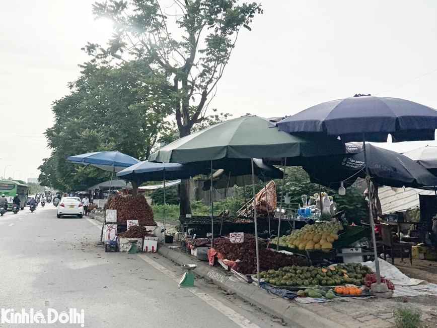 Hang rong bay ban tran lan doc Dai lo Thang Long - Hinh anh 10