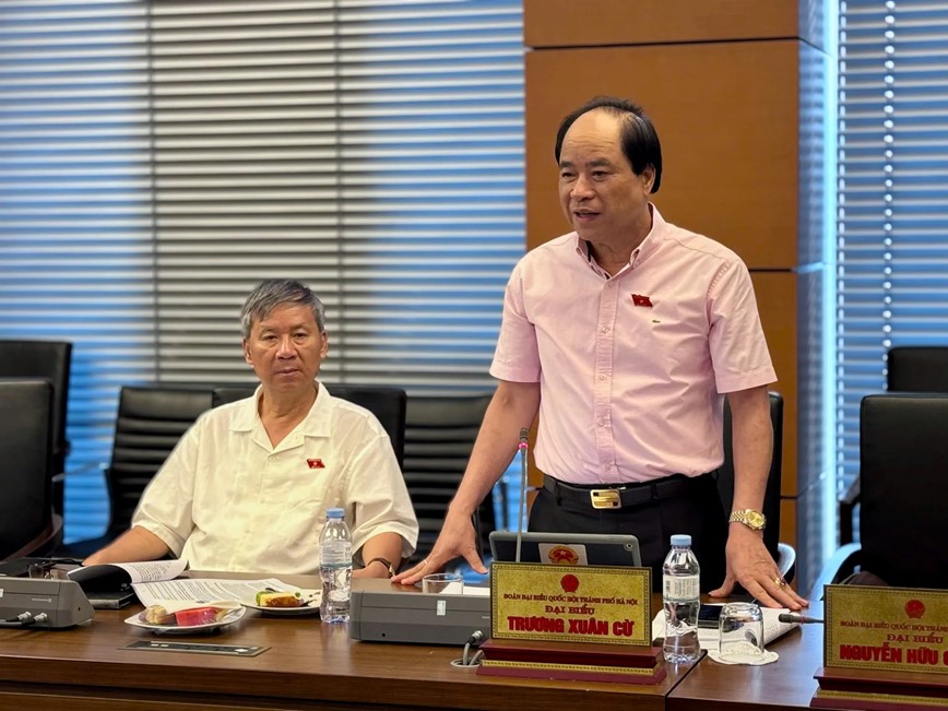 Dai bieu Quoc hoi: co che khuyen khich dau tu ngoai ngan sach vao giao thong duong sat chua thuc su hap dan - Hinh anh 3