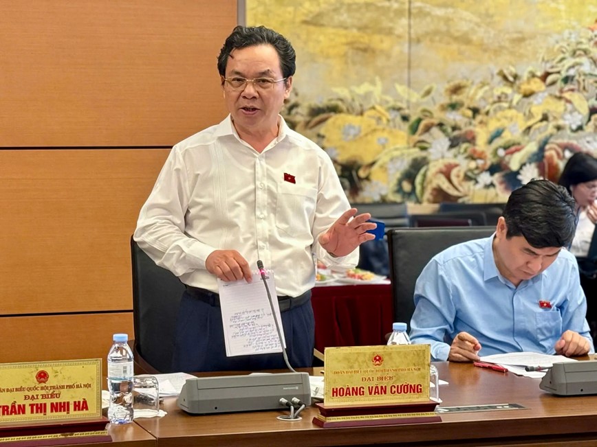 Dai bieu Quoc hoi: co che khuyen khich dau tu ngoai ngan sach vao giao thong duong sat chua thuc su hap dan - Hinh anh 1