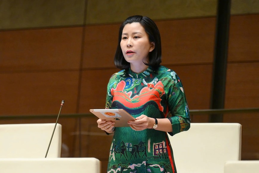 Mo ra co hoi huy dong duoc nguon luc tu nhan dau tu vao he thong duong sat - Hinh anh 3