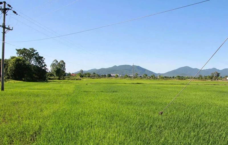 Hà Tĩnh: ngăn xây dựng công trình chờ bồi thường dự án đường sắt tốc độ cao - Hình ảnh 3 Ha Tinh: ngan xay dung cong trinh cho boi thuong du an duong sat toc do cao - Hinh anh 3