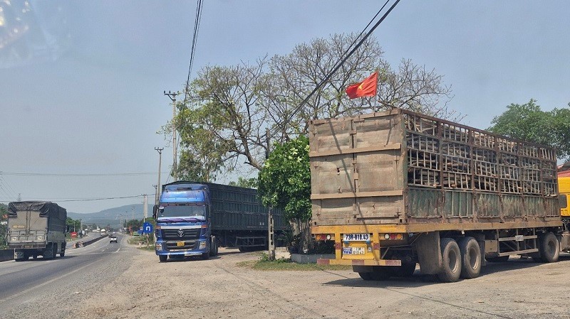 Quang Binh: Phuong tien van tai dung do gay mat an toan giao thong tren quoc lo - Hinh anh 4