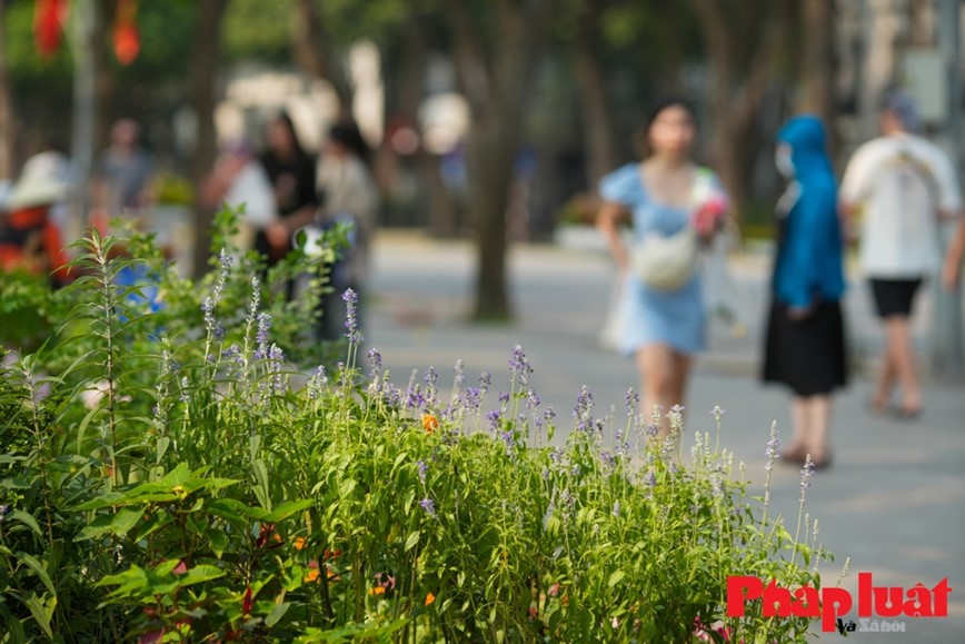 Ve dep yen binh cua pho di bo ho Guom nhung ngay nghi le - Hinh anh 12