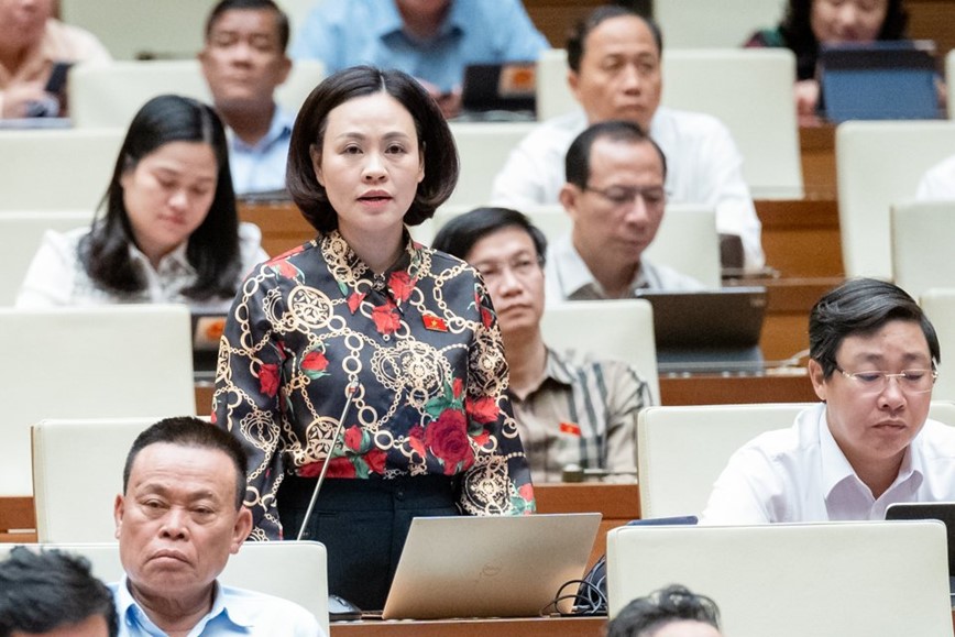 Bo truong Nguyen Van Hung tra loi ve gia ve may bay trong nuoc tang cao - Hinh anh 4