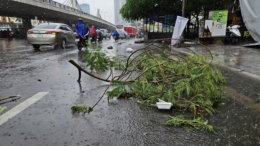 Ha Noi: mua to, gio lon gay do cay, ngap nhe tai mot so tuyen pho - Hinh anh 24