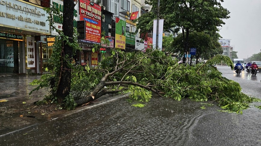 Ha Noi: mua to, gio lon gay do cay, ngap nhe tai mot so tuyen pho - Hinh anh 19