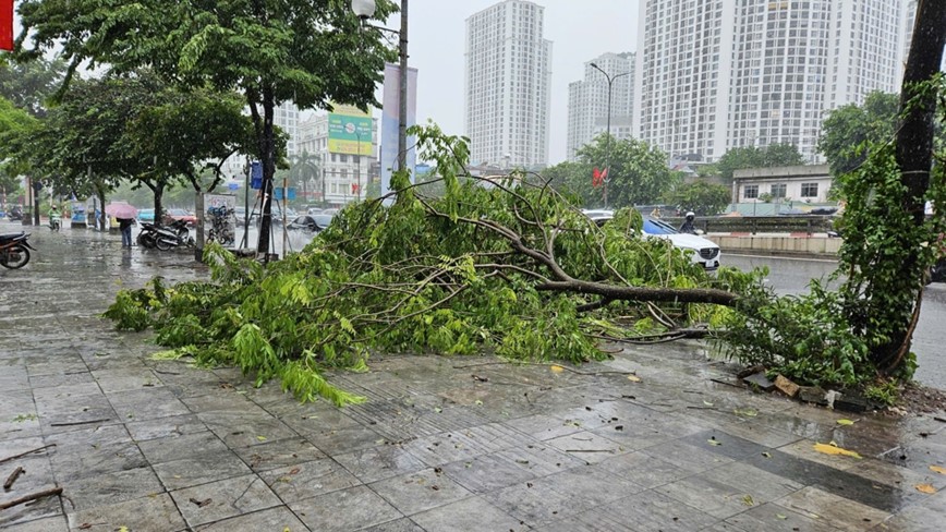 Ha Noi: mua to, gio lon gay do cay, ngap nhe tai mot so tuyen pho - Hinh anh 20