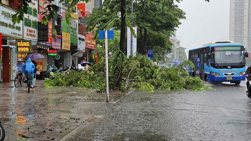 Ha Noi: mua to, gio lon gay do cay, ngap nhe tai mot so tuyen pho - Hinh anh 17