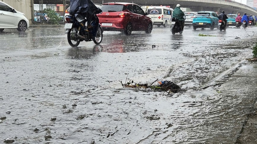 Ha Noi: mua to, gio lon gay do cay, ngap nhe tai mot so tuyen pho - Hinh anh 15