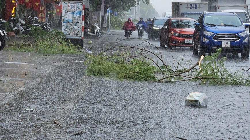 Ha Noi: mua to, gio lon gay do cay, ngap nhe tai mot so tuyen pho - Hinh anh 10