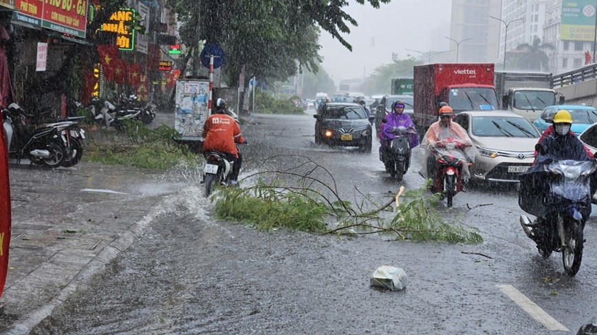 Ha Noi: mua to, gio lon gay do cay, ngap nhe tai mot so tuyen pho - Hinh anh 1