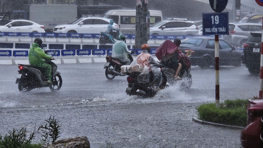 Ha Noi: mua to, gio lon gay do cay, ngap nhe tai mot so tuyen pho - Hinh anh 7