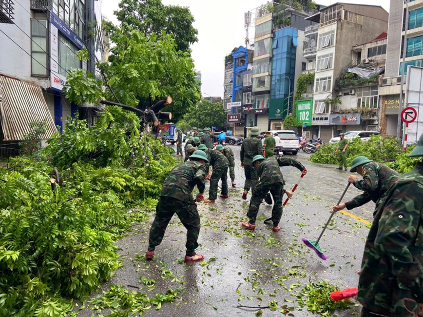 Ha Noi tap trung giai toa cay xanh gay, do xong truoc ngay 12/9/2024 - Hinh anh 1