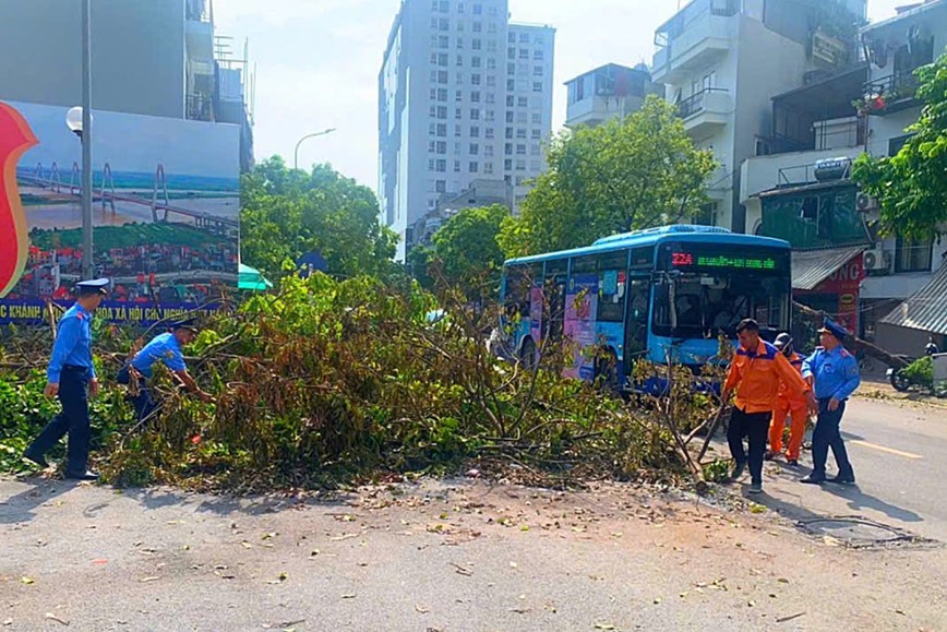 So GTVT Ha Noi: huy dong tong luc don dep duong pho sau bao so 3 - Hinh anh 3