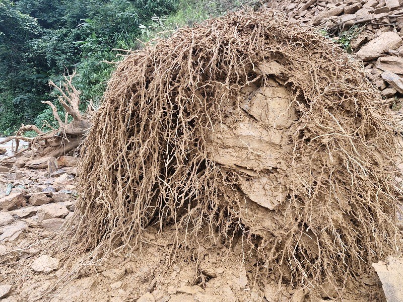 Ha Tinh: sat lo dat duong len Cua khau quoc te Cau Treo - Hinh anh 3