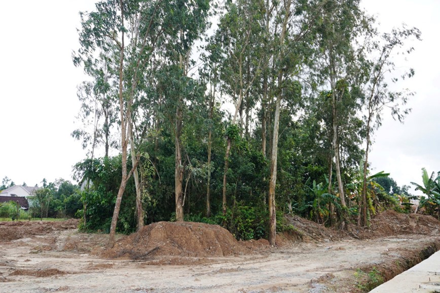 Du an cau vom thep dau tien o Quang Ngai khan truong ve dich - Hinh anh 2