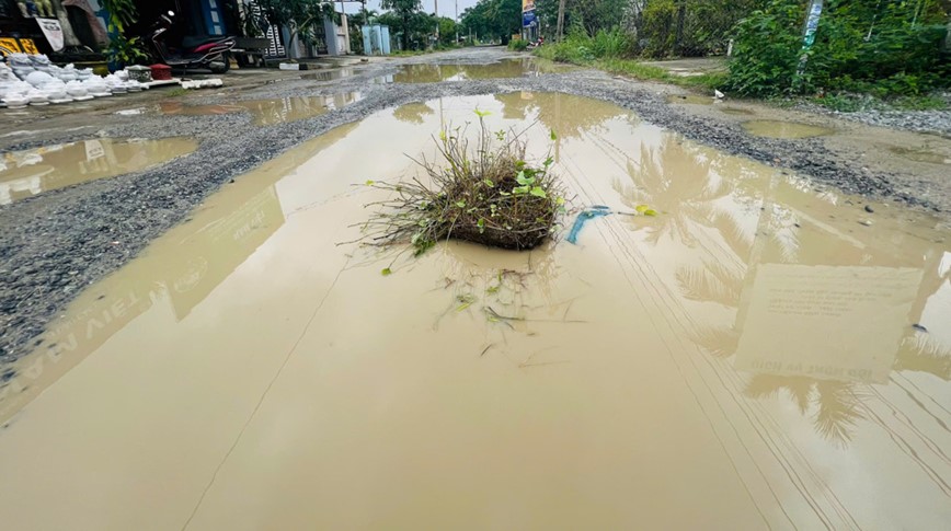 Quang Nam: duong thua ruong cay, nguoi dan ngan ngam - Hinh anh 8