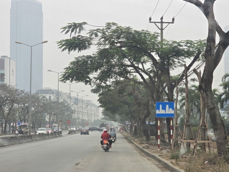 Hai Phong: bat cap tu mot so bien bao giao thong - Hinh anh 6