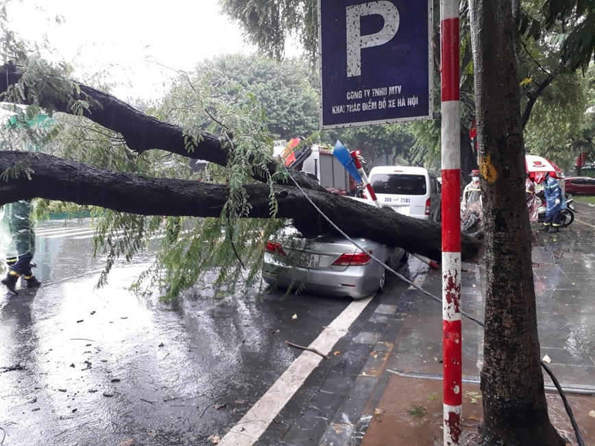 Ha Noi: Cay co thu de bep Camry tren pho Co - Hinh anh 2