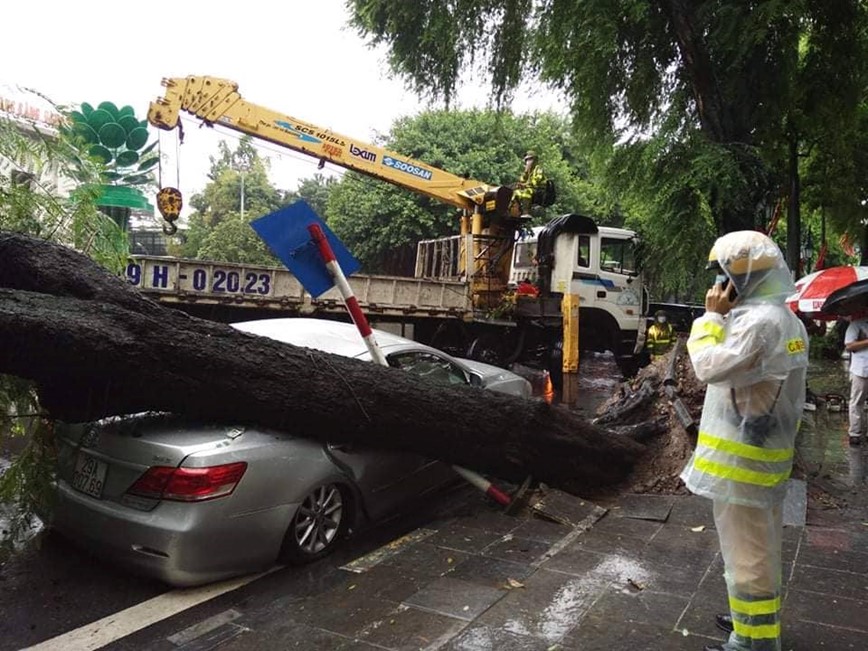 Ha Noi: Cay co thu de bep Camry tren pho Co - Hinh anh 1