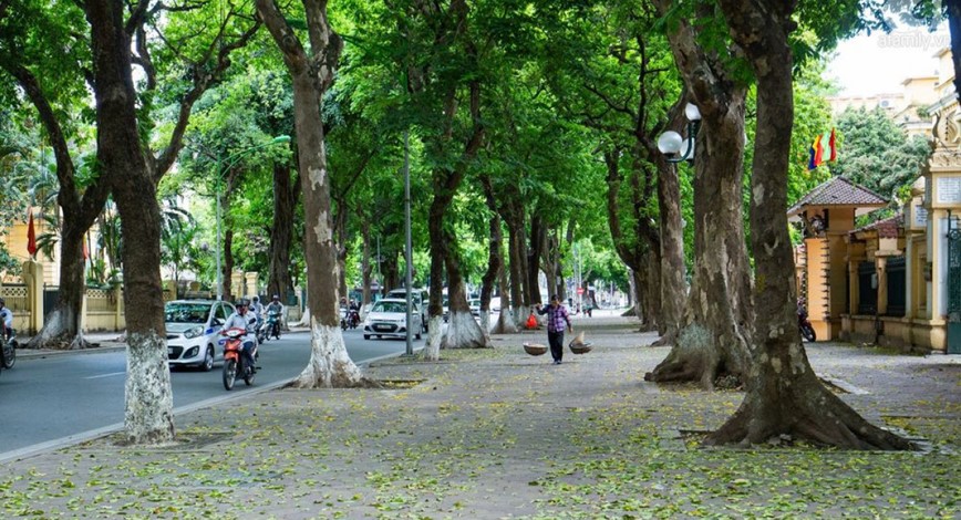 Trong giu xe tren he pho: Bo quy dinh khong phu hop - Hinh anh 2