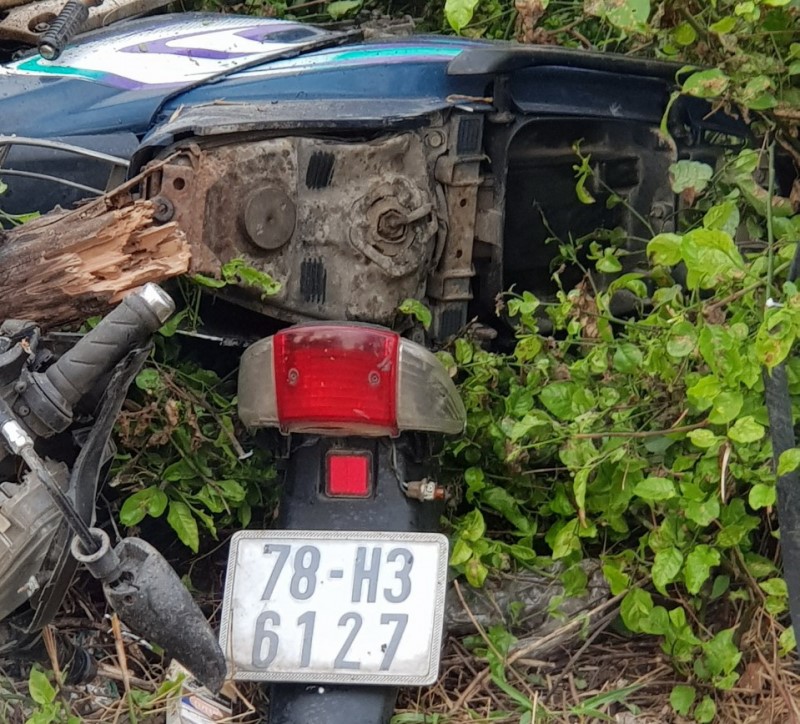 Bang qua duong sat, nguoi dan ong bi tau hoa tong tu vong - Hinh anh 1