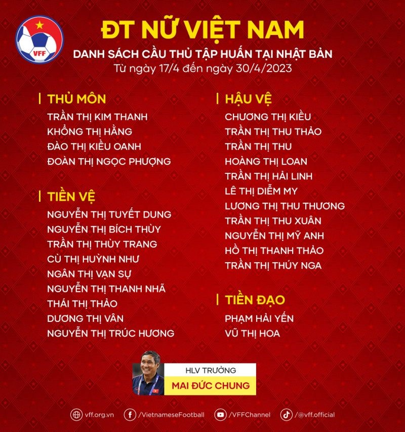 DT nu Viet Nam chot danh sach tap huan tai Nhat Ban - Hinh anh 1