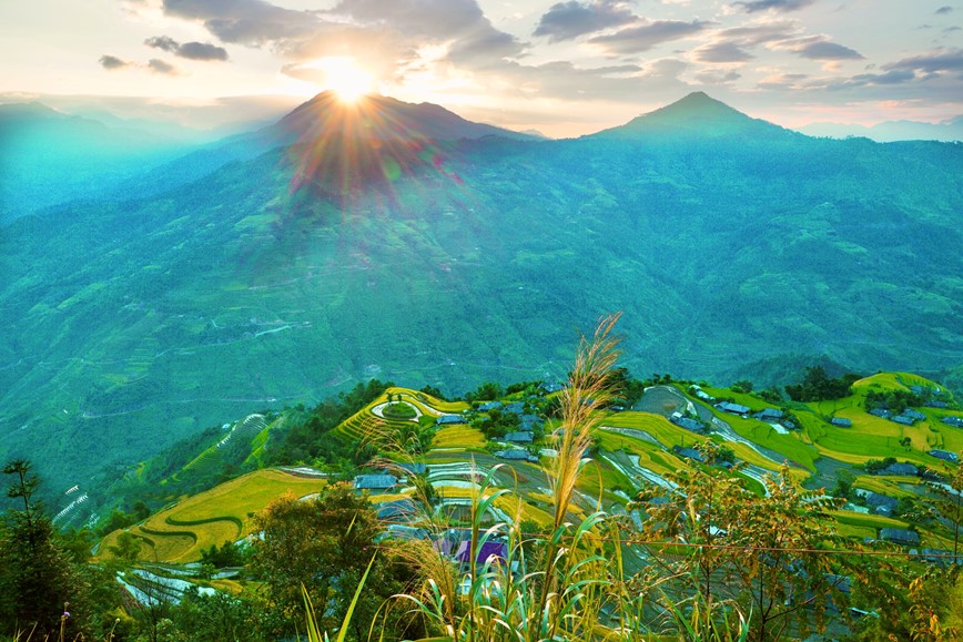 Co hen voi mua lua chin ruc sac Thu vang tren vung cao Tay Bac - Hinh anh 1