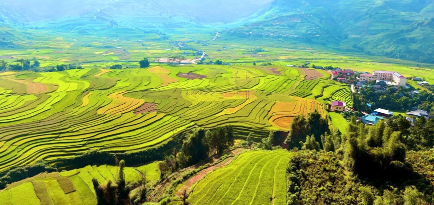 Co hen voi mua lua chin ruc sac Thu vang tren vung cao Tay Bac - Hinh anh 8