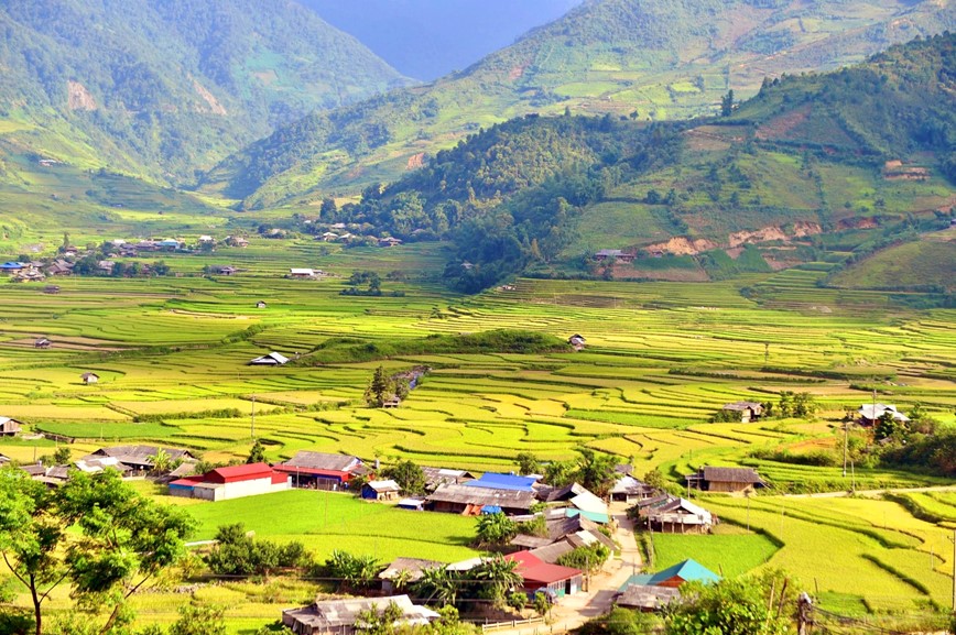 Co hen voi mua lua chin ruc sac Thu vang tren vung cao Tay Bac - Hinh anh 14