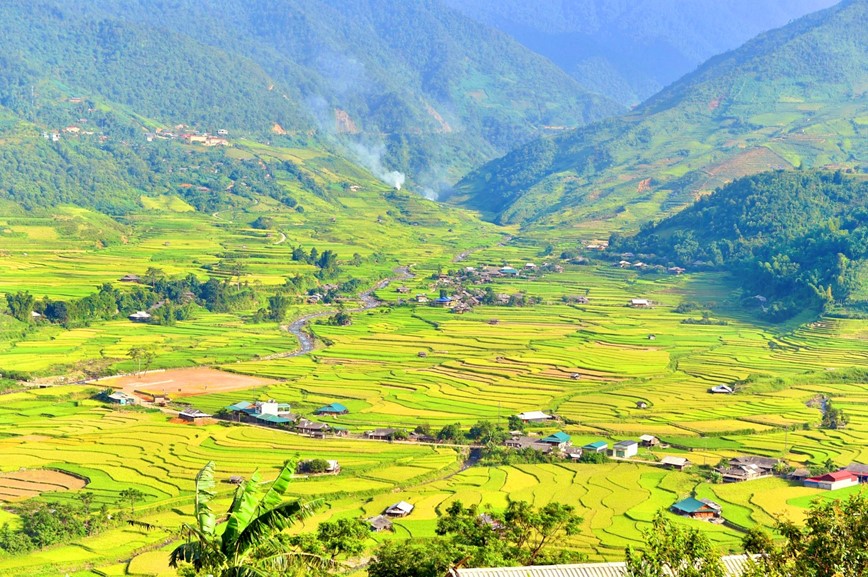 Co hen voi mua lua chin ruc sac Thu vang tren vung cao Tay Bac - Hinh anh 7