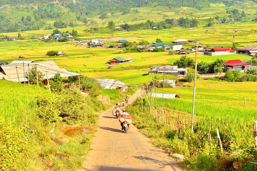 Co hen voi mua lua chin ruc sac Thu vang tren vung cao Tay Bac - Hinh anh 10