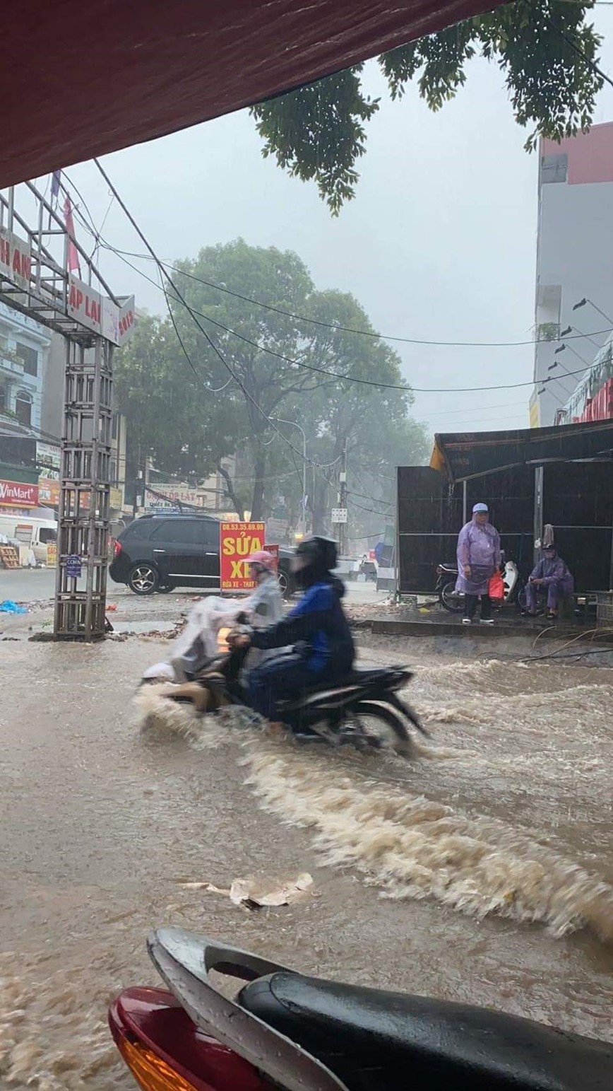 Ha Noi mua trang troi, gio giat manh nhu bao dung gio cao diem sang 28/9 - Hinh anh 24