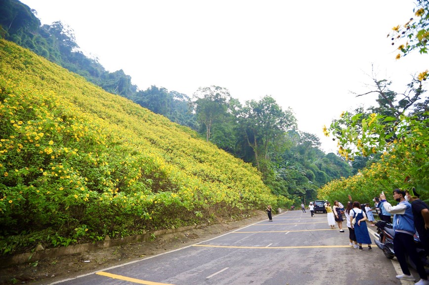 Ba Vi: Gioi tre do xo di check-in voi hoa da quy no ro - Hinh anh 3