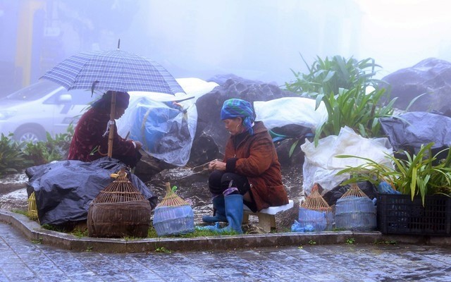 Mien Bac don khong khi lanh, vung nui cao co noi duoi 11 do - Hinh anh 1