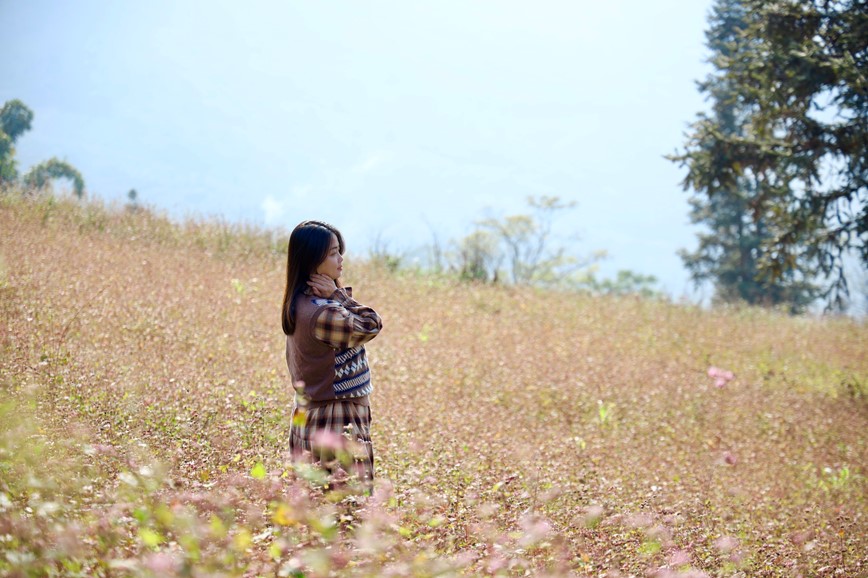 Den Ha Giang ngam hoa tam giac mach bung no khoe sac - Hinh anh 8