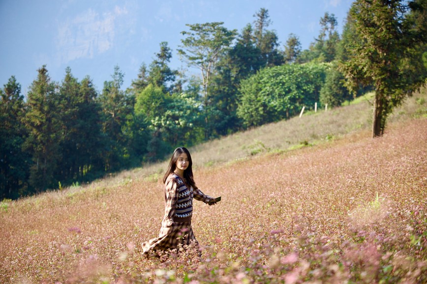 Den Ha Giang ngam hoa tam giac mach bung no khoe sac - Hinh anh 7